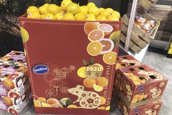 Sunkist's Year of the Rat boxes for Lunar New Year.