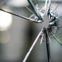 Broken Glass