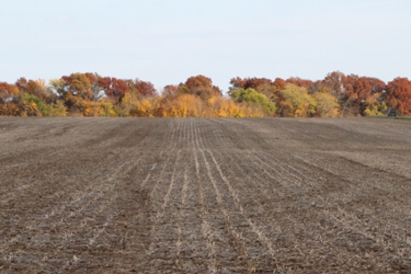 fall_field