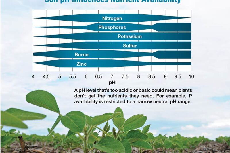 A pH level that’s too acidic or basic could mean plants don’t get the nutrients they need. For example, P availability is restricted to a narrow neutral pH range.