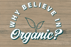 Why believe in organic?