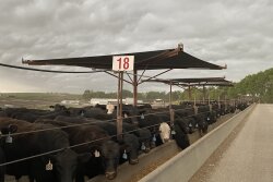 J&S Feedlot