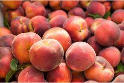Washington peaches