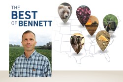 Best of Bennett