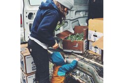 As consumers’ shopping habits have changed during the COVID-19 pandemic, Sara Lozano, manager of marketing and product development for Sambrailo Packaging, says farmers have increasingly been using the company’s vegetable boxes for CSA or other similar produce box programs during shelterin- place regulations.
