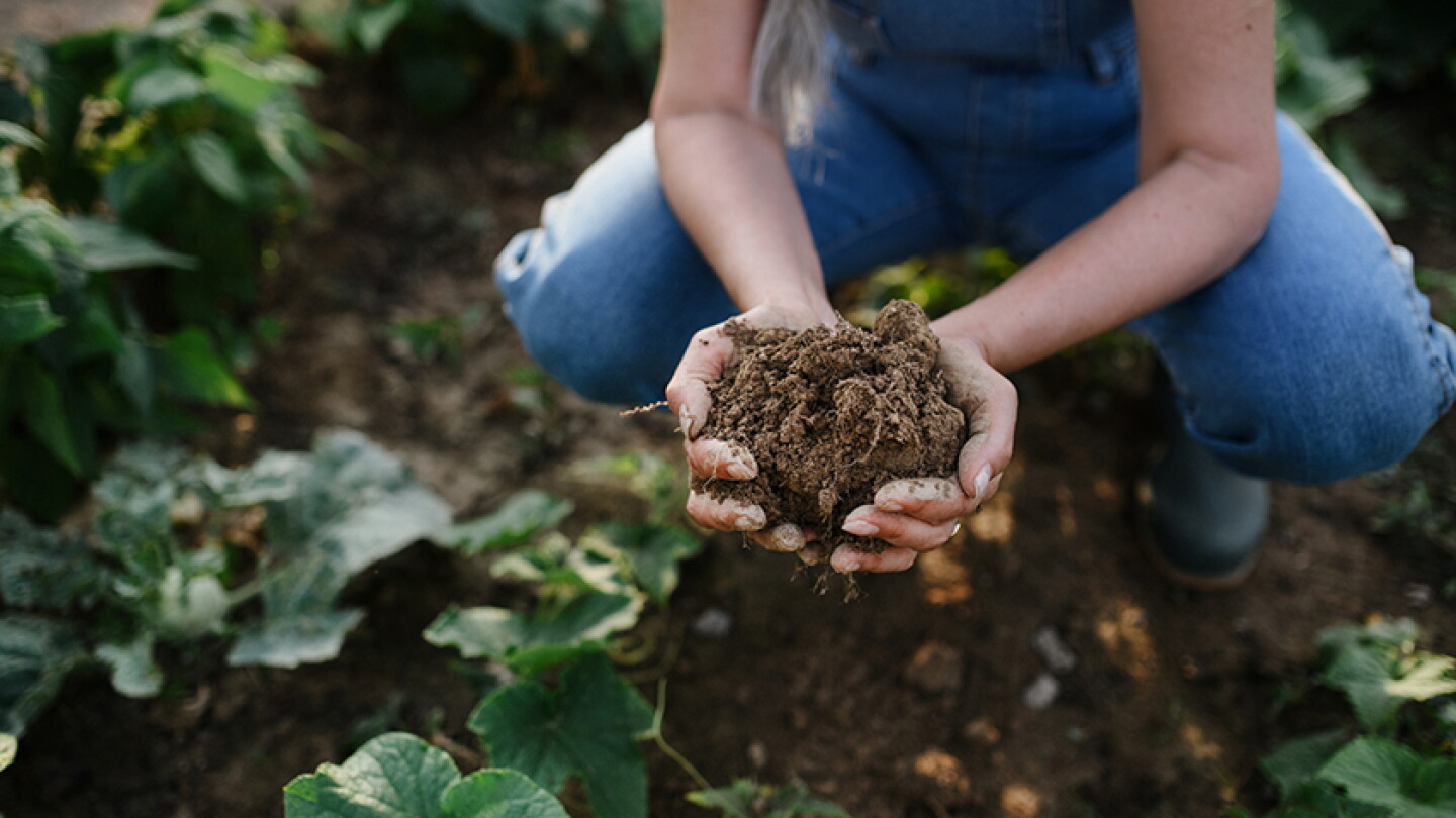 USDA Unveils $700M Regenerative Ag Pilot for Farmers