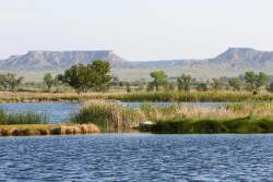 Mesa Vista Ranch, Pampa, TX