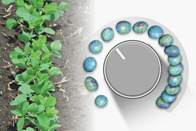 how low can you go with soybean planting population