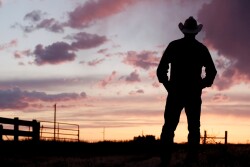 Cowboy - Istock.jpg