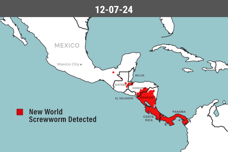 New-World-Screwworm-2024-to-Aug-2025.gif