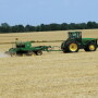 soybean college planttips