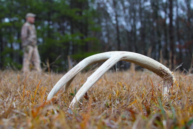 Jon Jackson Bennett Deer Shed