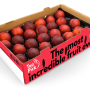 Stemilt Growers offers stone fruit, like these nectarines, in its 15-pound bulk Top Pick program.