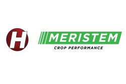 Meristem Hefty.jpg