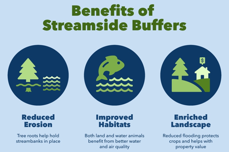 Benefits of seaside buffers.png