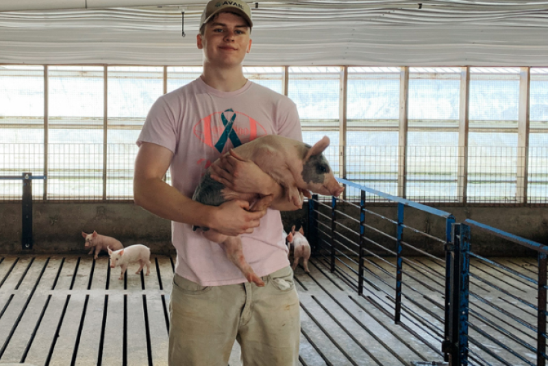 Sawyer - This'll Do Farm