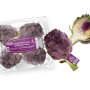 OMF_Purple-Artichoke.jpg
