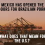 Brazilian Pork to Mexico.canva