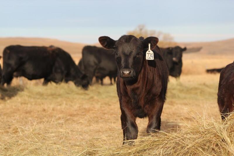 Ag markets will be affect by several issues.