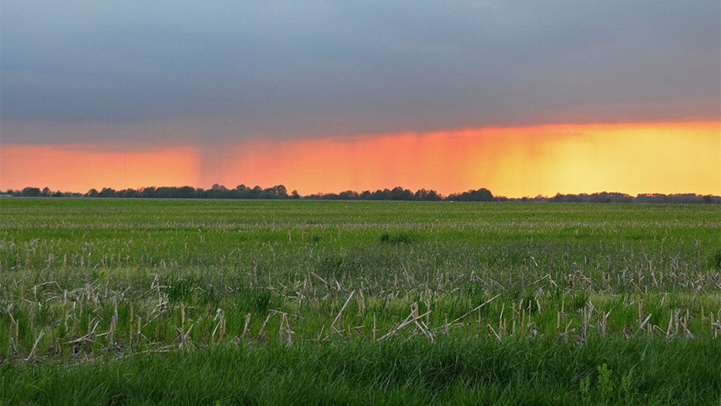 Rains for the eastern Corn Belt, but western Belt still drying out ...