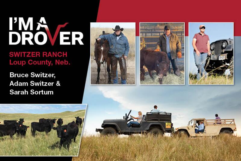 Switzer Ranch - I'm a Drover