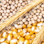 American farmers must navigate more challenges in 2022. Read how some are managing their risks. 