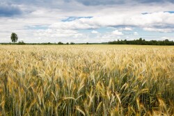 Flexible Farming