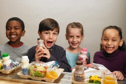chocolate milk in schools