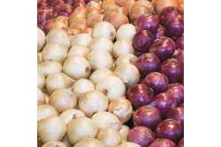 21996759-47EF-47D0-85BBFD5D74B3E52E.png