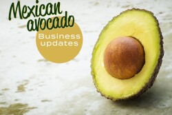 Avocado photo courtesy Pexels; Source pixabay