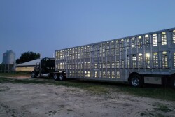 Farm Health Guardian Biosecurity Breach Alerts