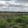 Prevent plant acres