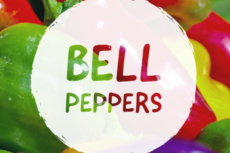 1179997D-3E43-4309-9A2E8187C4E8BCFB.png