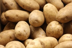 The USDA has appointed members the board that oversees research and promotion efforts.