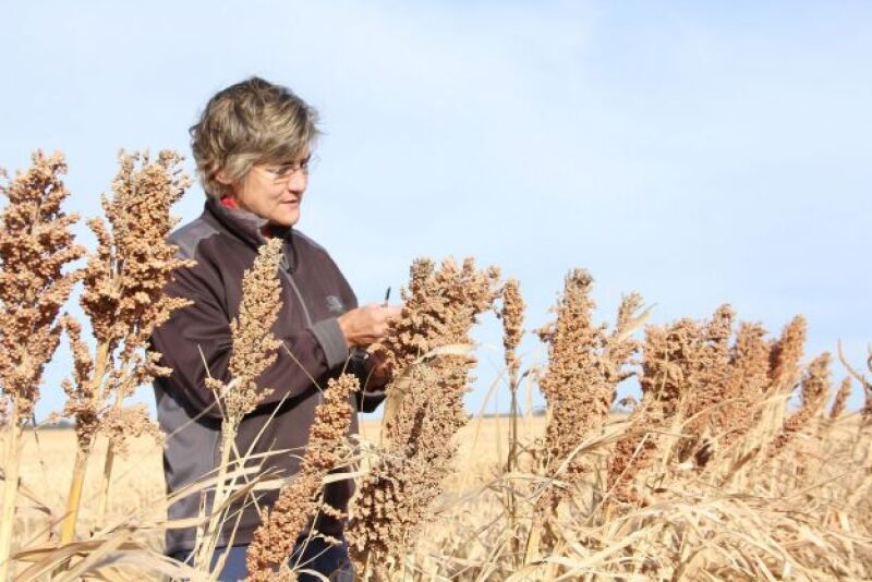 Tracy Zink farms roughly 3,000 acres of corn, soybeans, wheat, grain sorghum and pastures in Nebraska. She was recently named a conservation steward for America's Conservation Ag Movement.