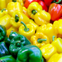 Rows of green, yellow and red bell peppers arranged side by side.