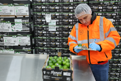 D Produce Co. limes