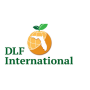 DLF international