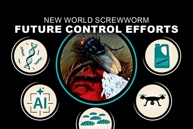 The Next Generation of Screwworm Control