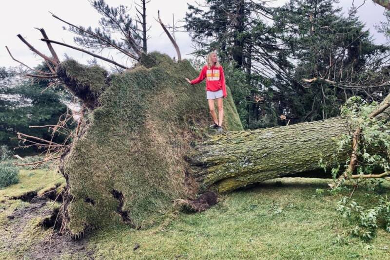 Carly Martin surveys the damage after derecho winds destroyed over 100 trees on their two farms located five miles apart.