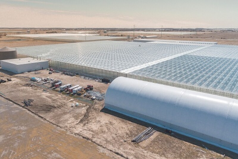 NatureFresh Farms is expanding greenhouse acreage.