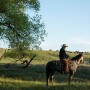 Cattleman on Horseback