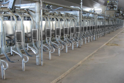 Nedap Livestock Management