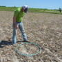 Hula hoops provide an additional technique for calculating soybean populations.