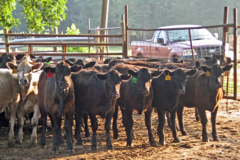 Market recovery from coronavirus impact could be lengthy
