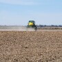 Adjust tillage and herbicide management to keep fields clean.