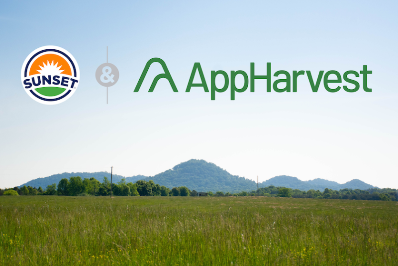 Sunset_AppHarvest-WEB.png