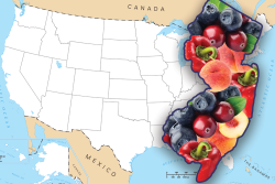 New Jersey produce illustration