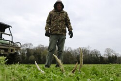 Deer Shed Hunt