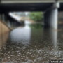 Heavy rains have brought flooding to the lower Mississippi River.